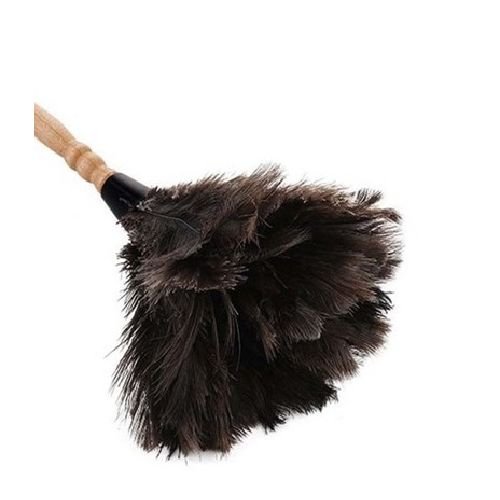 feather-dust-removal-brush.jpg